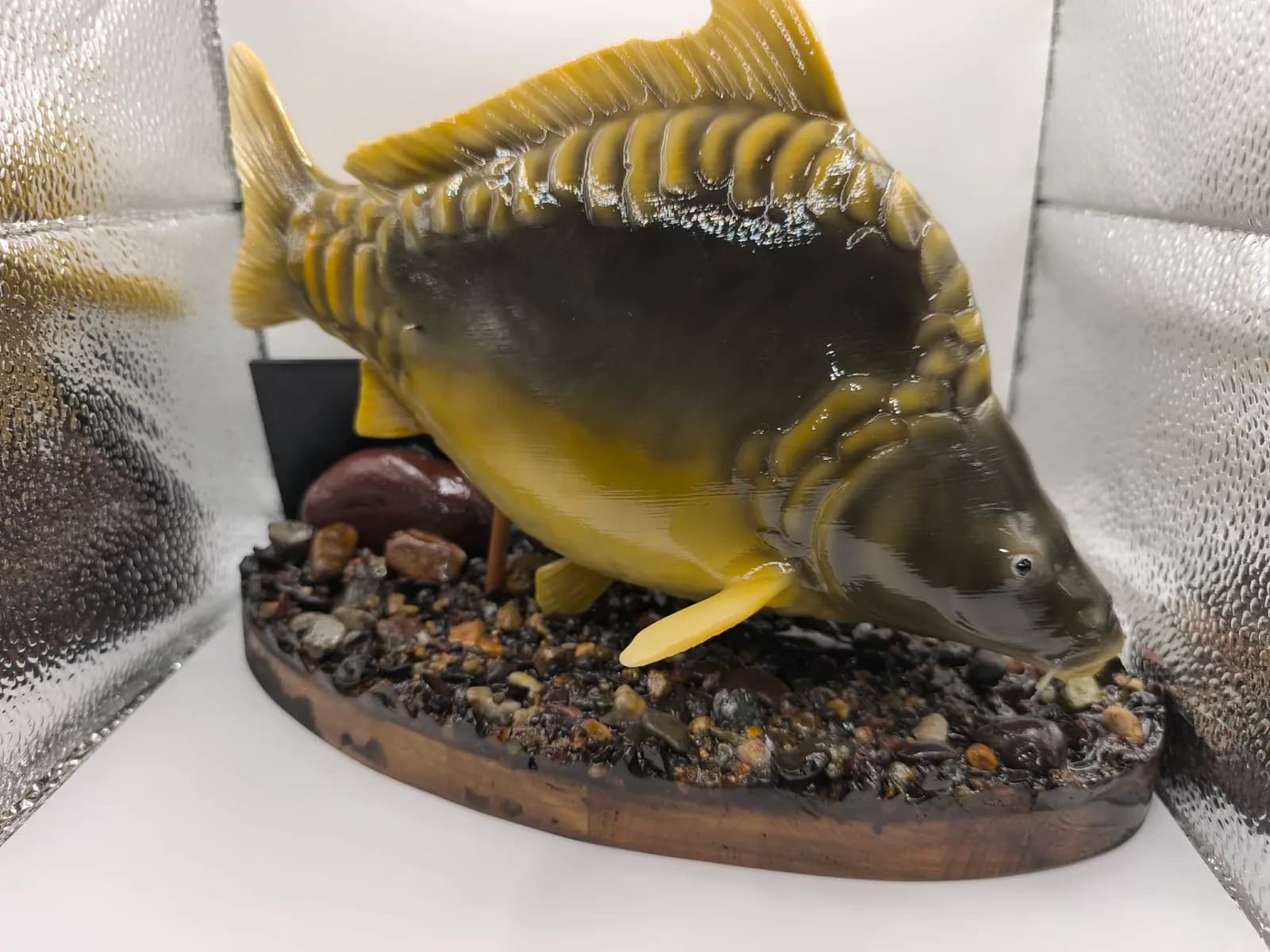 Carp fishing competition trophy Mirror Carp - Realistic